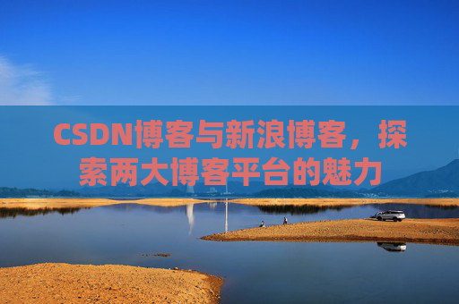 CSDN博客与新浪博客，探索两大博客平台的魅力